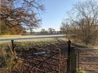 Grafton Equine Bereavement Services